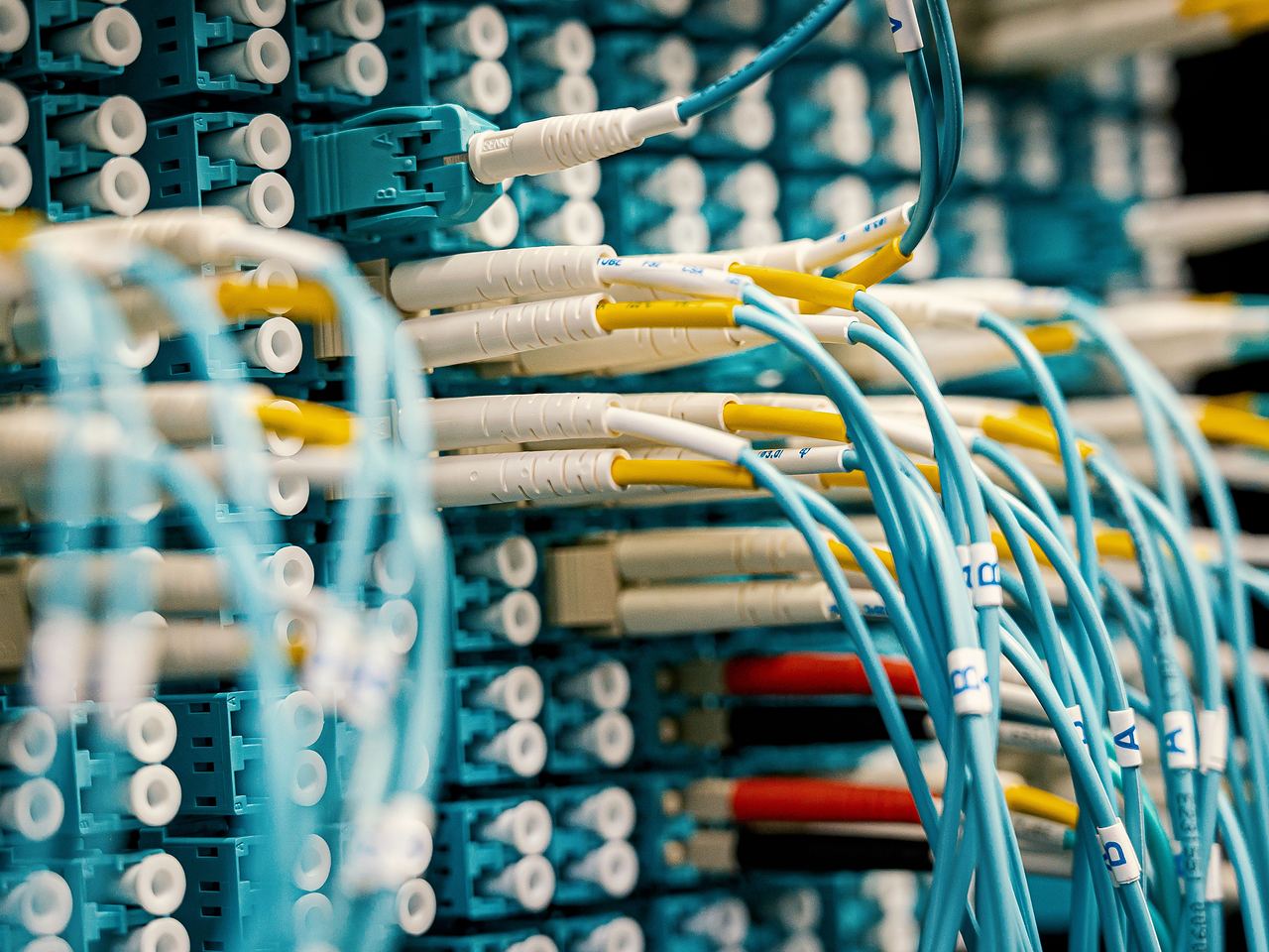 Close-up of fibre connectors in a patch panel