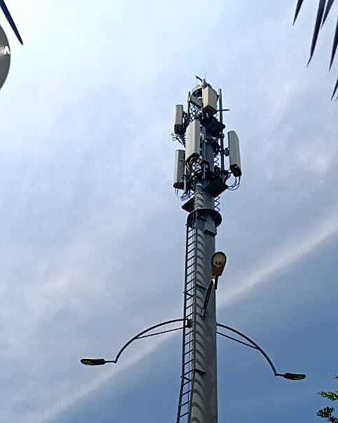 Lamp pole carrying street lights and cellular antennas