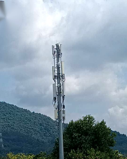 Steel monopole with antenna panels in a green landscape